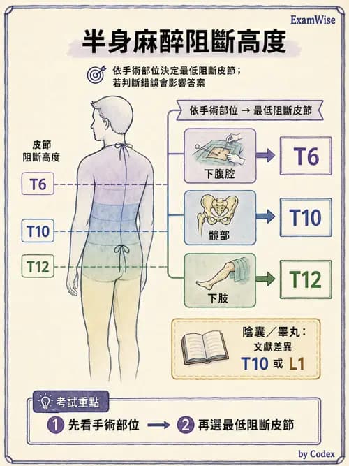 含PDPH - 脊髓與硬脊膜外麻醉 - AI 圖文解析預覽