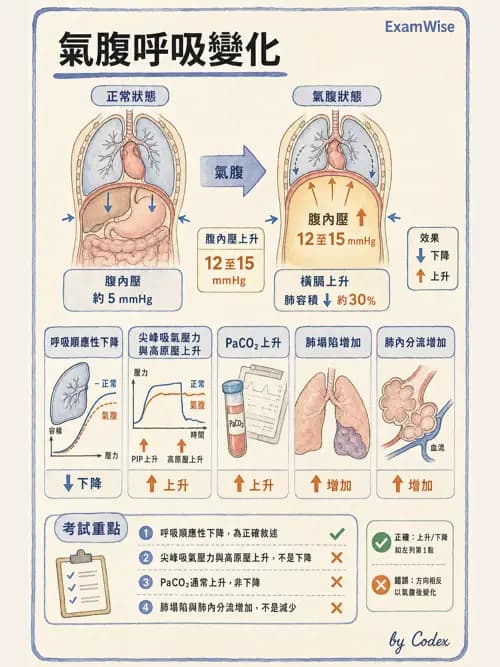 麻醉專護 - 泌尿/婦科/機器人腹腔鏡手術麻醉 - AI 圖文解析預覽