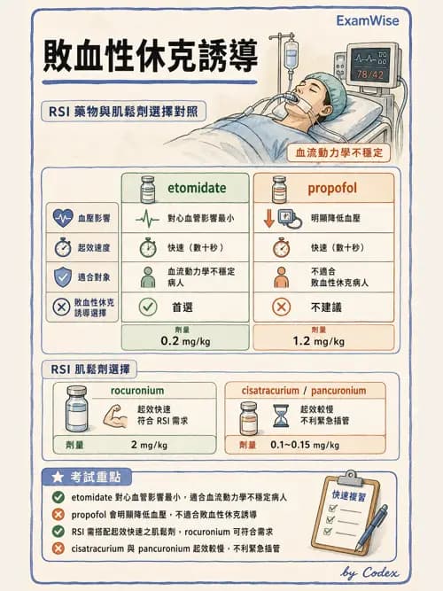 麻醉專護 - 創傷、燒傷與重症麻醉 - AI 圖文解析預覽