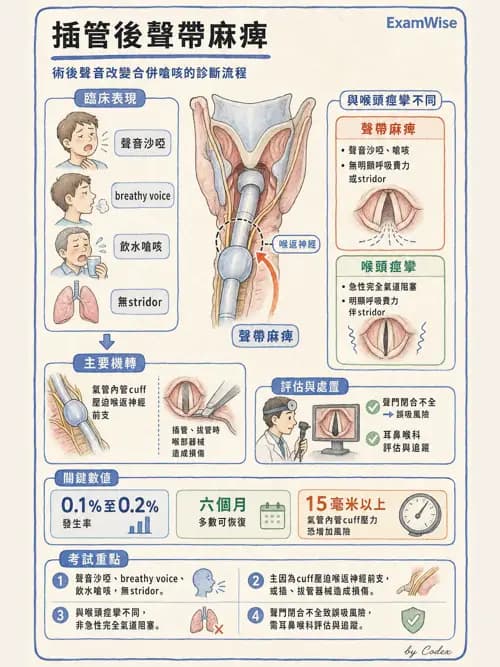 麻醉專護 - 喉痙攣與呼吸道相關併發症 - AI 圖文解析預覽