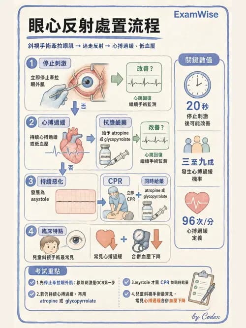 麻醉專護 - 頭頸/耳鼻喉/眼科手術麻醉 - AI 圖文解析預覽