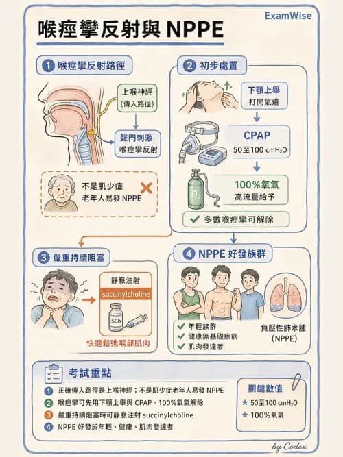 麻醉專護 - 喉痙攣與呼吸道相關併發症 - AI 圖文解析預覽