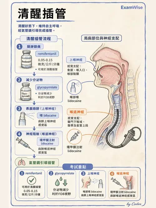 麻醉專護 - 困難氣道評估與插管技術 - AI 圖文解析預覽