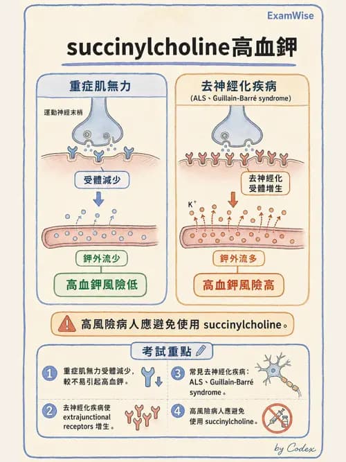 麻醉專護 - 肌肉鬆弛劑與拮抗劑 - AI 圖文解析預覽