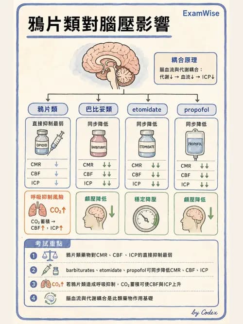 麻醉專護 - 神經外科與脊椎手術麻醉 - AI 圖文解析預覽
