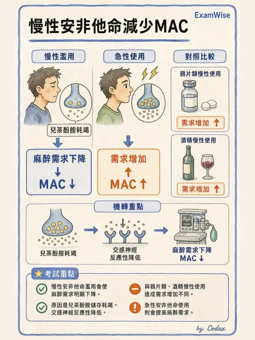 麻醉專護 - 鎮靜安眠藥、吸入性麻醉藥與TIVA - AI 圖文解析預覽