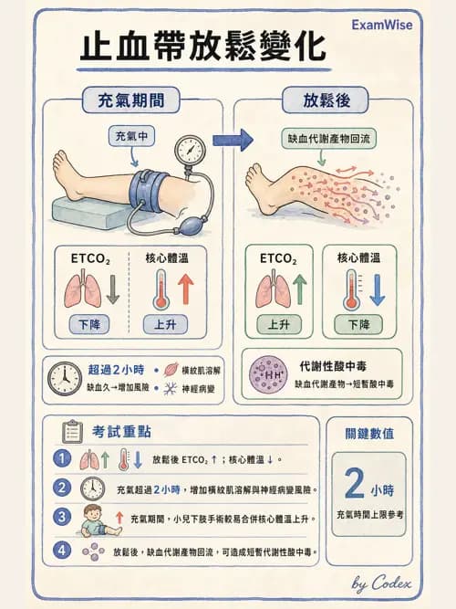 麻醉專護 - 手術體位、止血帶與周邊神經損傷 - AI 圖文解析預覽