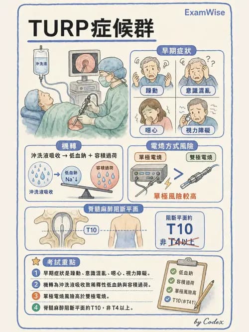 麻醉專護 - 泌尿/婦科/機器人腹腔鏡手術麻醉 - AI 圖文解析預覽