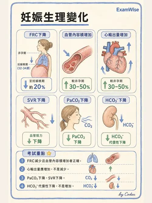 麻醉專護 - 產科麻醉 - AI 圖文解析預覽