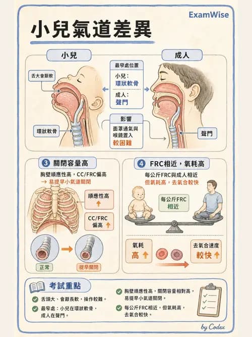 麻醉專護 - 小兒麻醉 - AI 圖文解析預覽