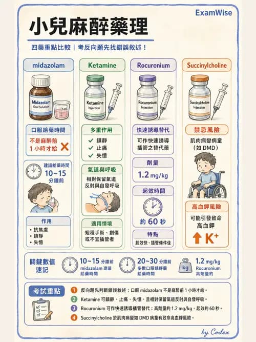 麻醉專護 - 小兒麻醉 - AI 圖文解析預覽