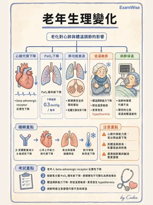 麻醉專護 - 老年麻醉 - AI 圖文解析預覽