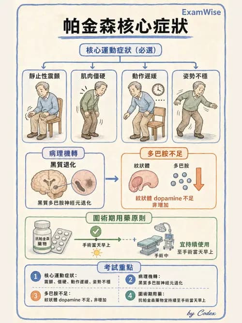 麻醉專護 - 老年麻醉 - AI 圖文解析預覽