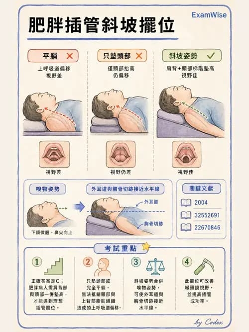 麻醉專護 - 肥胖與減重手術麻醉 - AI 圖文解析預覽