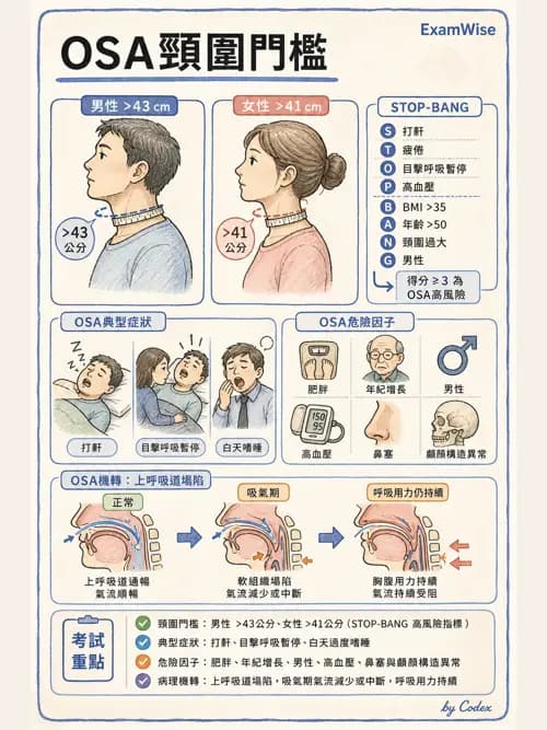 麻醉專護 - 肥胖與減重手術麻醉 - AI 圖文解析預覽