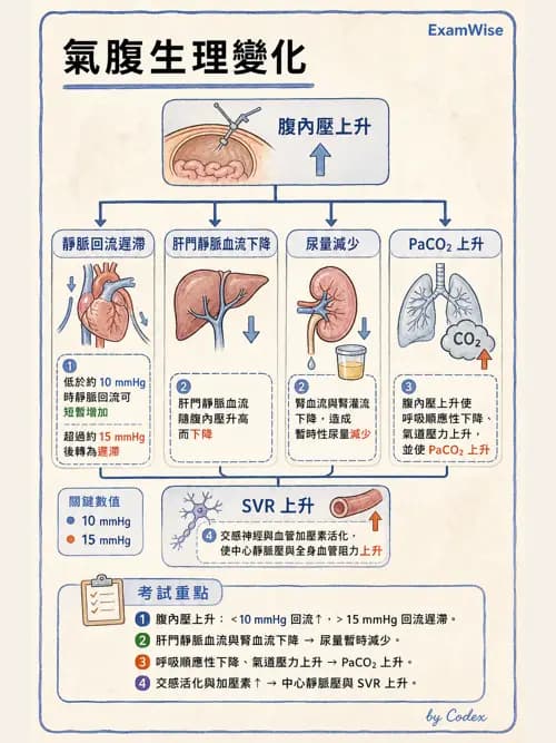 麻醉專護 - 肥胖與減重手術麻醉 - AI 圖文解析預覽
