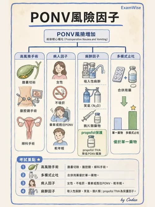 麻醉專護 - PACU照護、PONV與術後寒顫 - AI 圖文解析預覽
