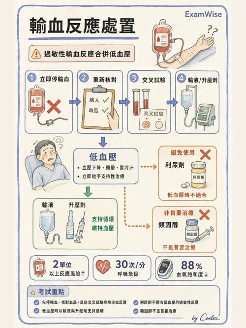 麻醉專護 - 體溫調節與大量輸血 - AI 圖文解析預覽