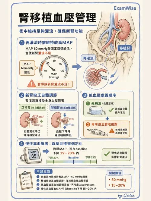 麻醉專護 - 器官移植與腦死捐贈麻醉 - AI 圖文解析預覽
