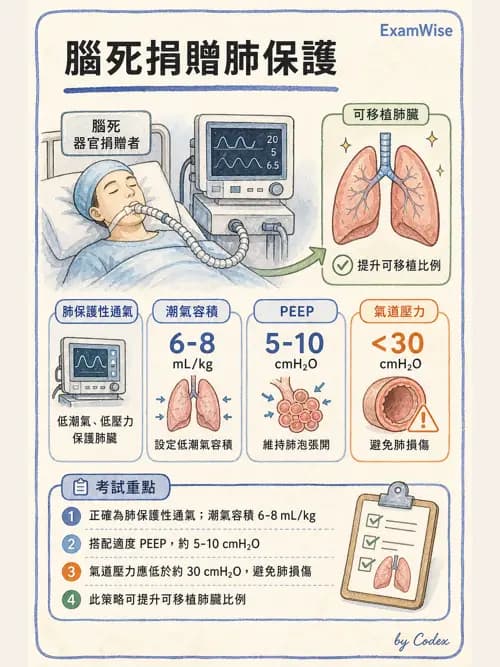 麻醉專護 - 器官移植與腦死捐贈麻醉 - AI 圖文解析預覽