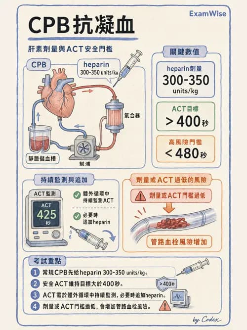 麻醉專護 - 心臟手術與體外循環麻醉 - AI 圖文解析預覽