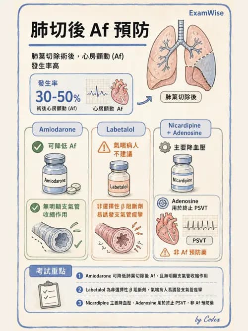 麻醉專護 - 腹部一般外科與胸腔手術麻醉 - AI 圖文解析預覽