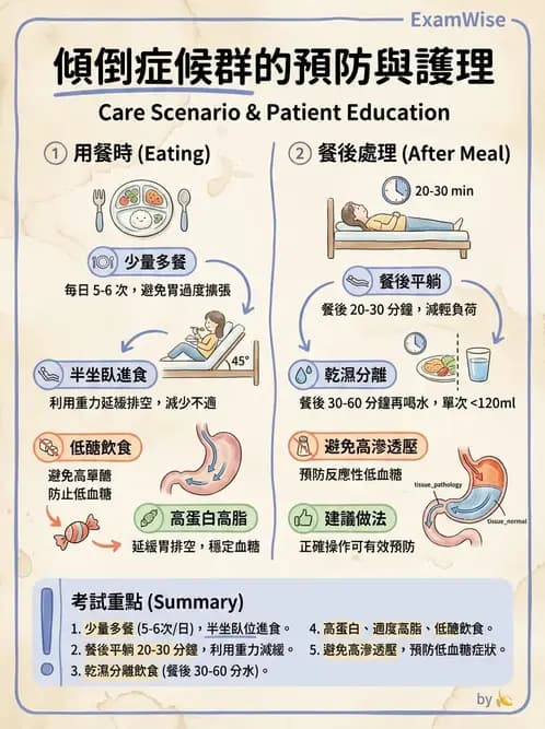 護理師 - 上消化道疾病 - AI 圖文解析預覽