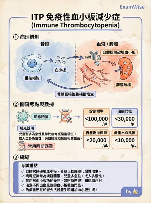 護理師 - 貧血與凝血疾病 - AI 圖文解析預覽