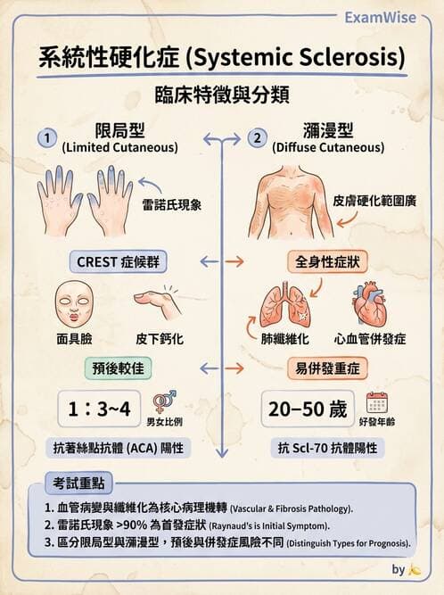 護理師 - 自體免疫疾病與過敏反應 - AI 圖文解析預覽
