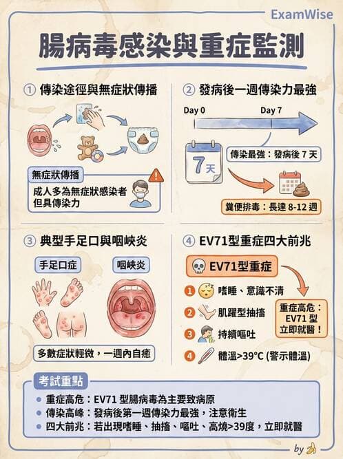 護理師 - 傳染病護理 - AI 圖文解析預覽