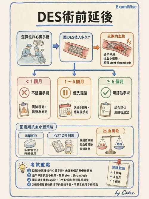 麻醉專護 - 心血管疾病術前評估 - AI 圖文解析預覽