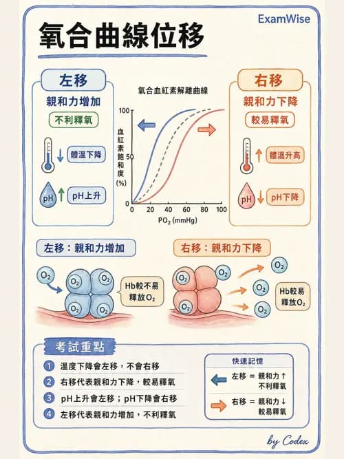 麻醉專護 - 呼吸系統疾病術前評估 - AI 圖文解析預覽
