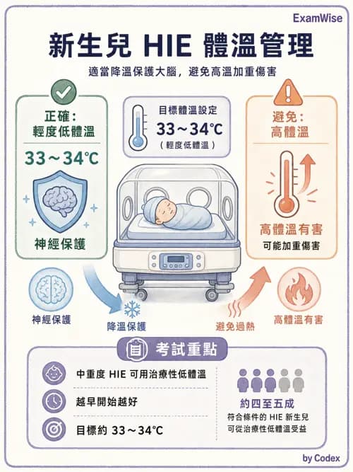 麻醉專護 - 腎臟肝臟疾病與神經生理評估 - AI 圖文解析預覽