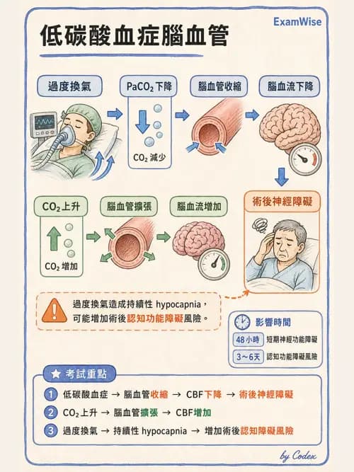 麻醉專護 - 腎臟肝臟疾病與神經生理評估 - AI 圖文解析預覽