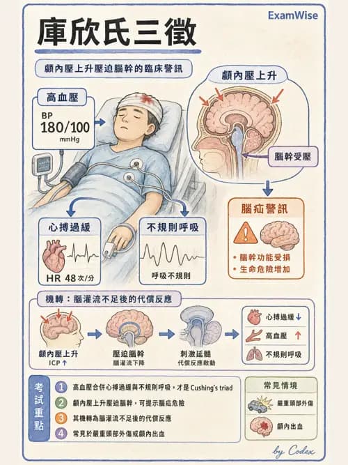 麻醉專護 - 腎臟肝臟疾病與神經生理評估 - AI 圖文解析預覽