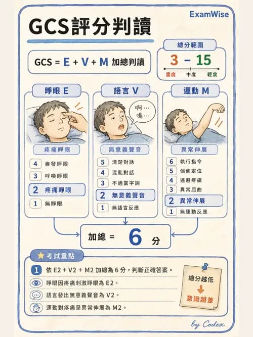 麻醉專護 - 腎臟肝臟疾病與神經生理評估 - AI 圖文解析預覽