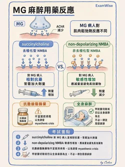 麻醉專護 - 麻醉藥物藥理與肌肉鬆弛劑 - AI 圖文解析預覽