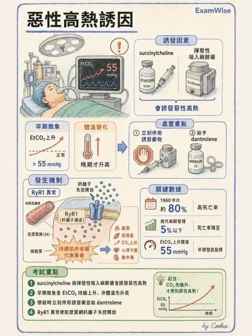 麻醉專護 - 麻醉藥物藥理與肌肉鬆弛劑 - AI 圖文解析預覽