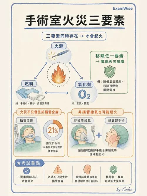 麻醉專護 - 呼吸道評估與處置 - AI 圖文解析預覽