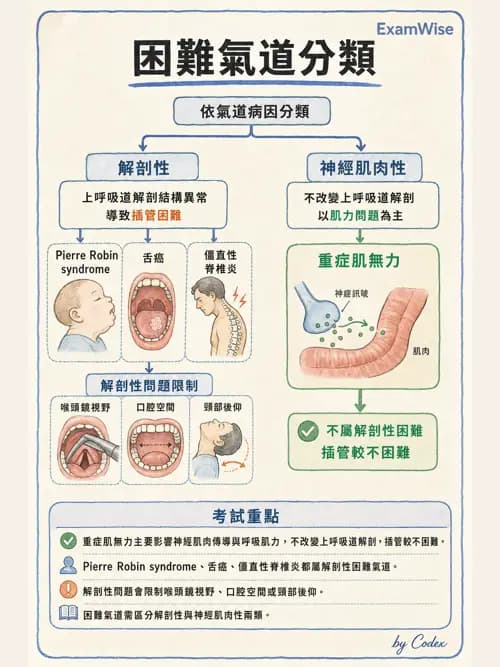 麻醉專護 - 呼吸道評估與處置 - AI 圖文解析預覽