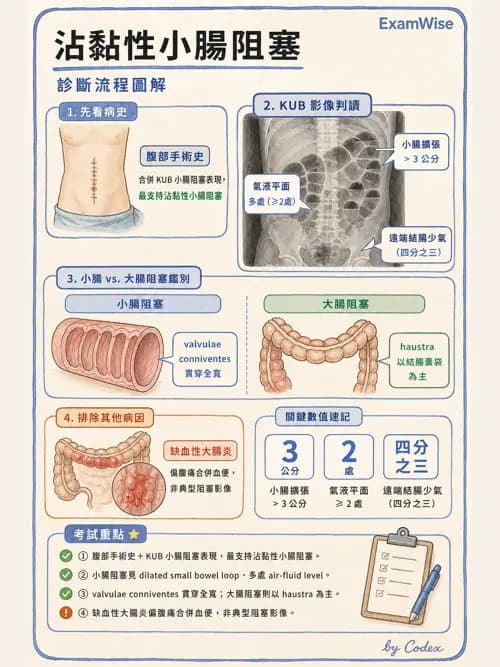 麻醉專護 - 內科疾病鑑別診斷 - AI 圖文解析預覽