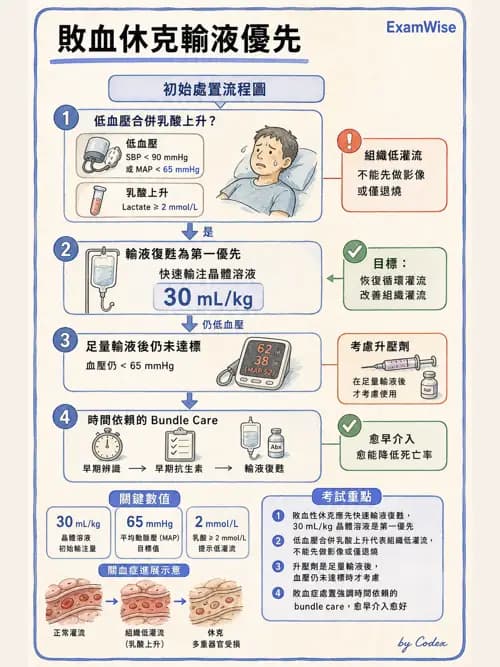 麻醉專護 - 心律不整判讀、ACLS與休克辨識 - AI 圖文解析預覽
