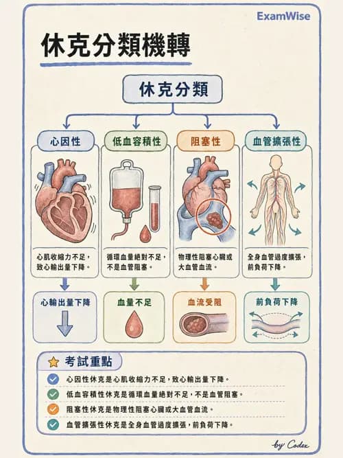 麻醉專護 - 心律不整判讀、ACLS與休克辨識 - AI 圖文解析預覽