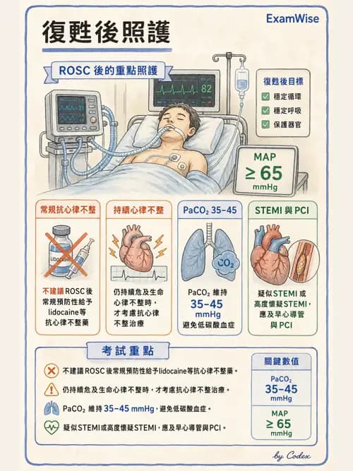 麻醉專護 - 心律不整判讀、ACLS與休克辨識 - AI 圖文解析預覽