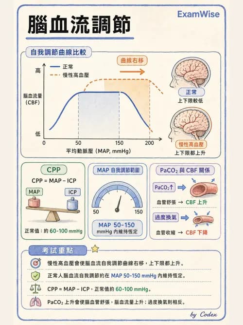 麻醉專護 - 神經外科與脊椎手術麻醉 - AI 圖文解析預覽