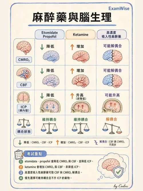 麻醉專護 - 神經外科與脊椎手術麻醉 - AI 圖文解析預覽