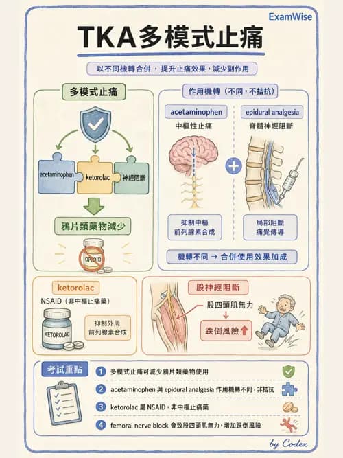 麻醉專護 - 急性術後疼痛與多模式止痛 - AI 圖文解析預覽