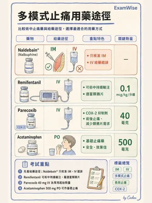 麻醉專護 - 急性術後疼痛與多模式止痛 - AI 圖文解析預覽