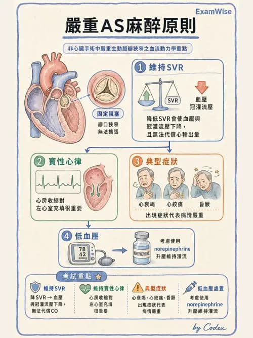 麻醉專護 - 心臟手術與體外循環麻醉 - AI 圖文解析預覽