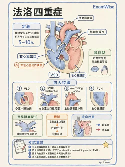 麻醉專護 - 小兒麻醉 - AI 圖文解析預覽